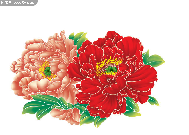 牡丹花图案psd素材