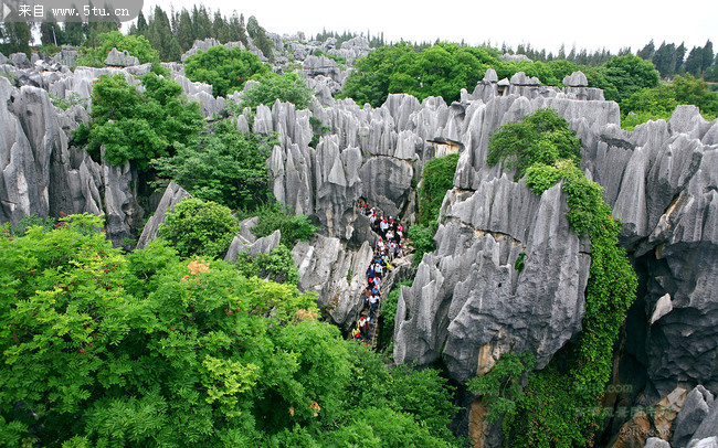 北京通盈集团石林背景图片