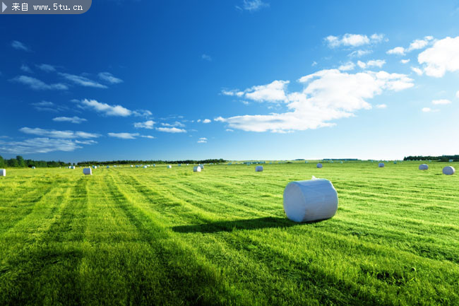 蓝天白云草地风景摄影图