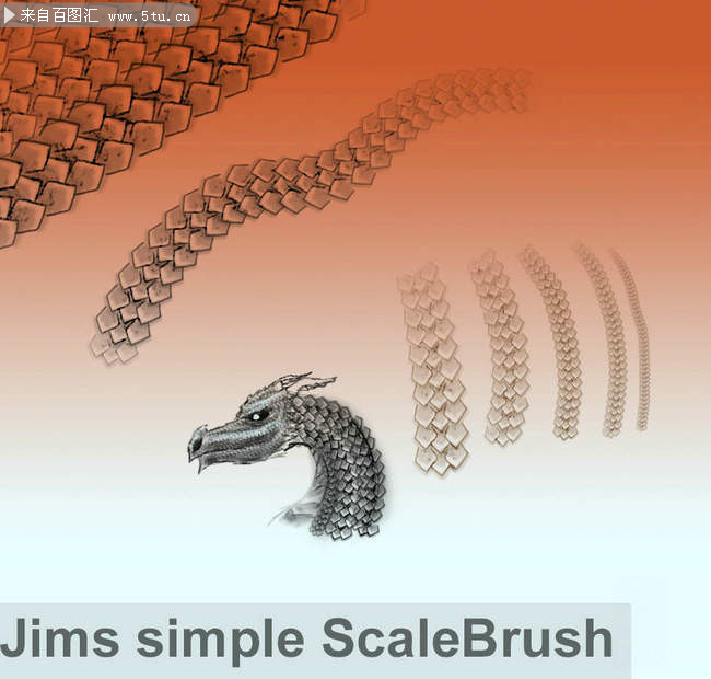 两套龙鳞蛇鳞鱼鳞片纹理ps笔刷合集