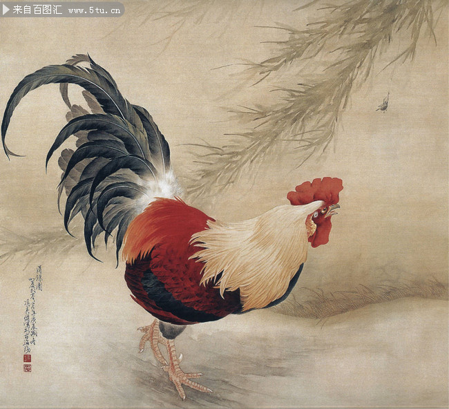 公鸡工笔国画素材