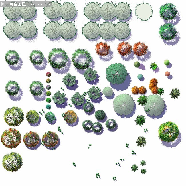 ps平面植物psd贴图
