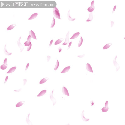 樱花花瓣飞舞ps笔刷