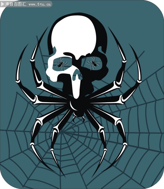 骷髅蜘蛛矢量素材