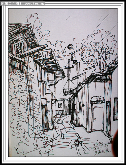 重庆市树黄桷树钢笔画创作-原创鼠绘/手绘作品-百图汇设计素材