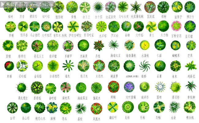 植物带分布图简图图片