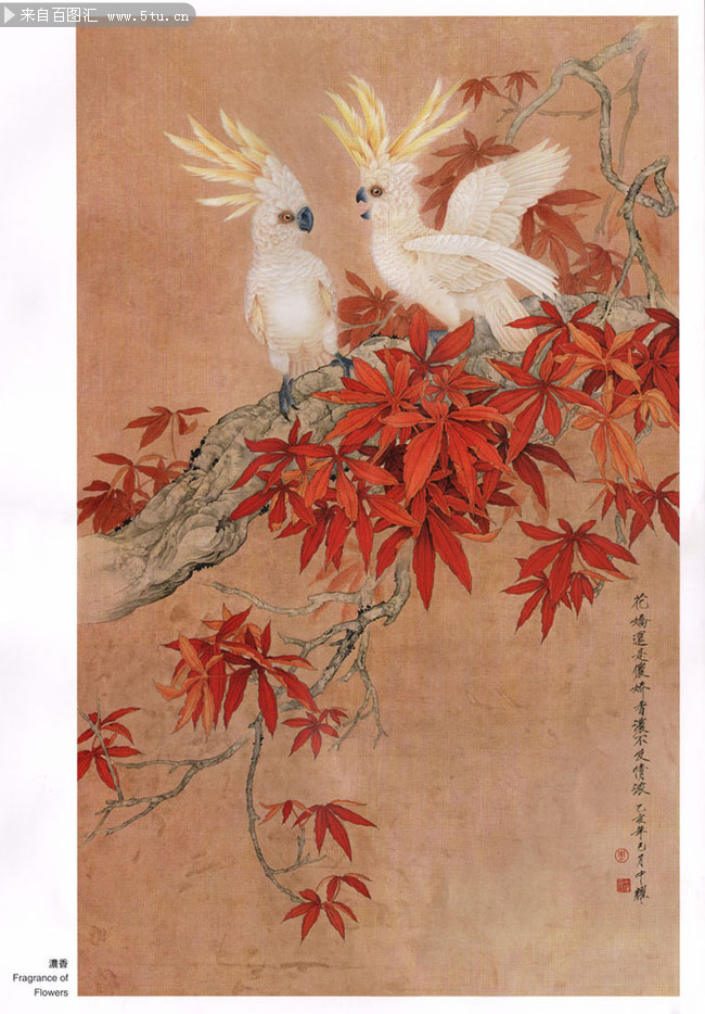周中耀工笔花鸟图片