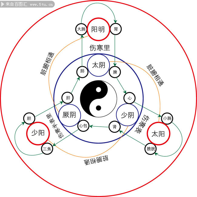 十二经络图矢量素材