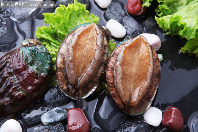 冷藏鲍鱼高清图片素材