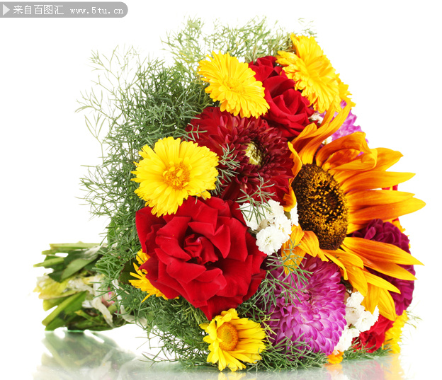 一束花高清图片素材