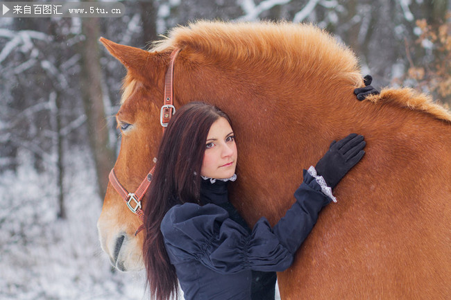 雪地美女抱马图片