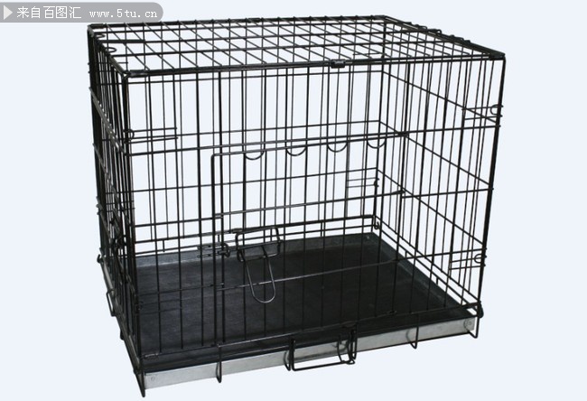 铁笼子 铁网 宠物笼子图片