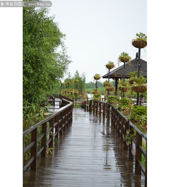 雨后幽静小桥图片