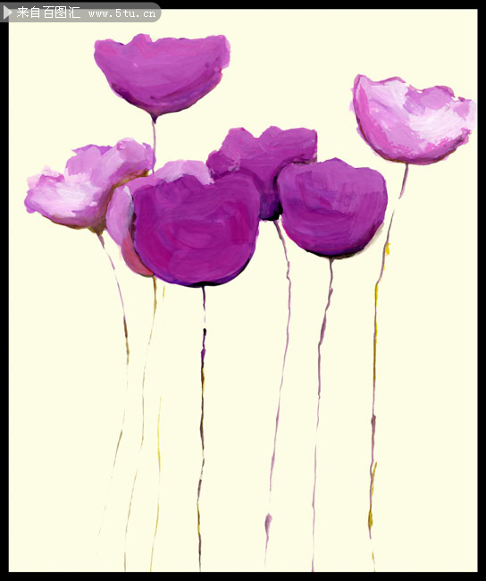 紫色虞美人花朵 花朵无框画高清图片下载